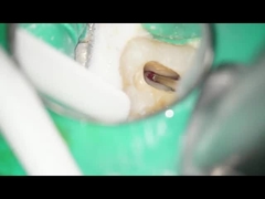 डेंटल आरए बर्स टंगस्टन कार्बाइड बर्स डेंटल यूज लो स्पीड